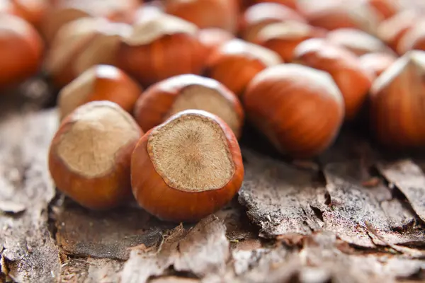 Hazelnuts — Stock fotografie
