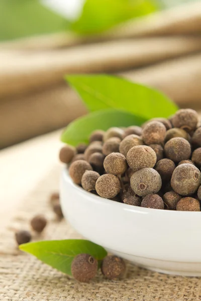 Allspice — Stock Photo, Image