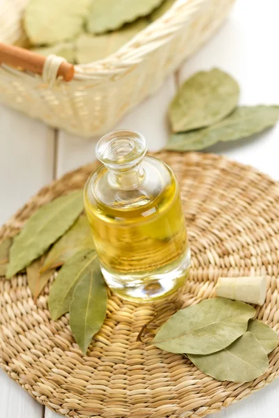 Laurel oil — Stock Photo, Image