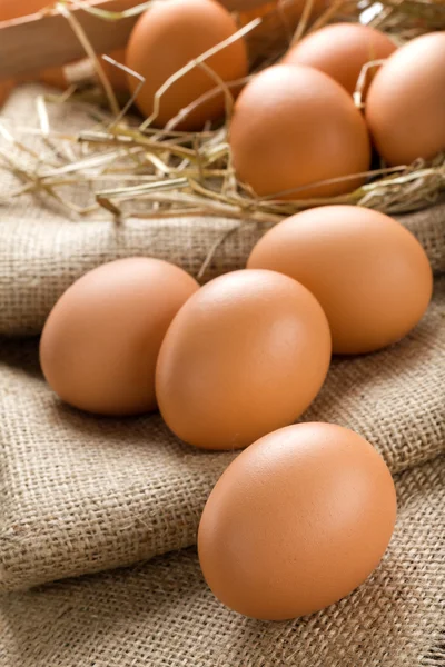 Ägg — Stockfoto