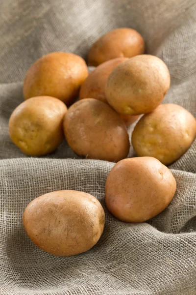 Patates — Stok fotoğraf