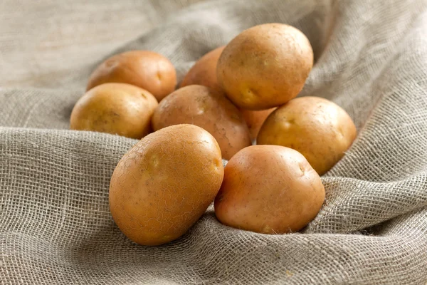 Potatis — Stockfoto