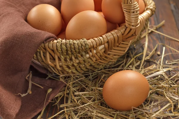 Chiken-Eier — Stockfoto