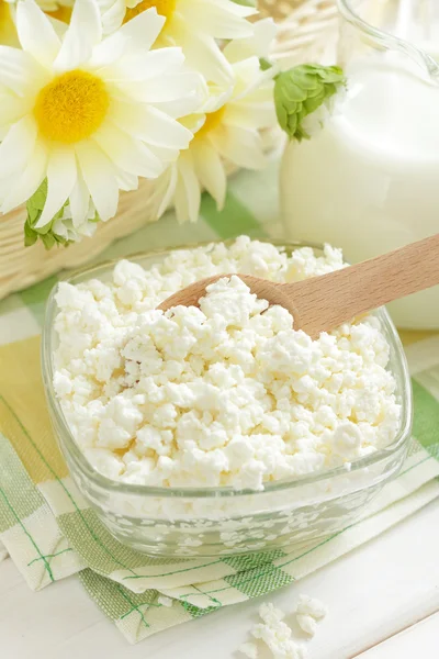 Cottage cheese and milk — Stock Photo, Image