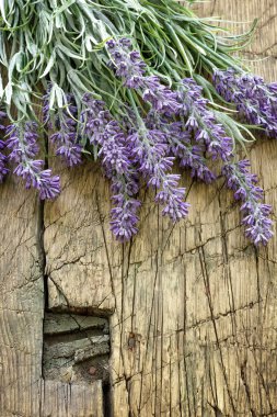antika ahşap üzerinde lavanta
