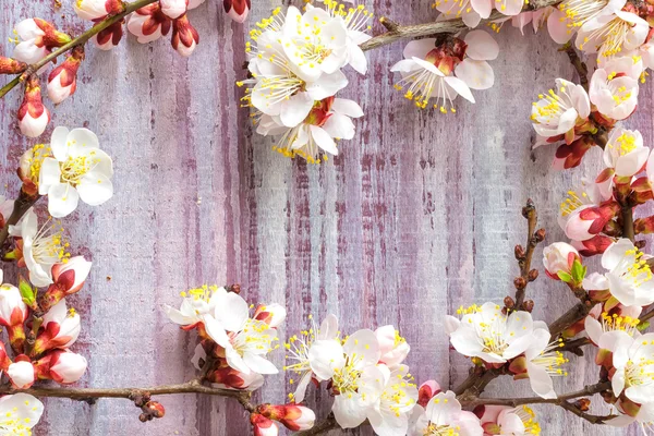 Spring blossoms over wooden background — Stock Photo, Image