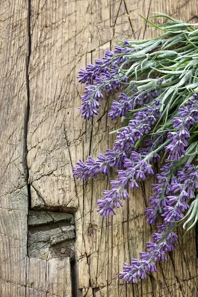 Lavendel über altem Holz — Stockfoto