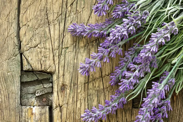 Lavendel über altem Holz — Stockfoto