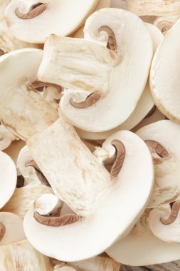 kıyılmış petrol arka plan