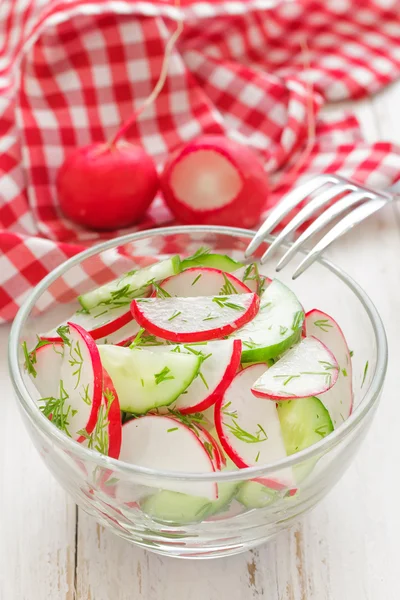 Verse salade met radijs en komkommer — Stockfoto