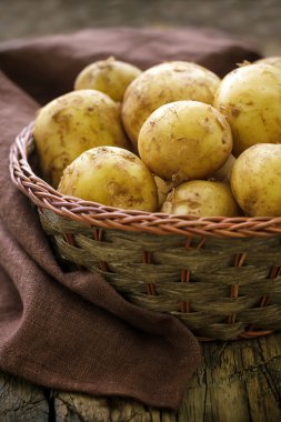 yeni patates