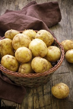 yeni patates