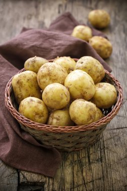 yeni patates