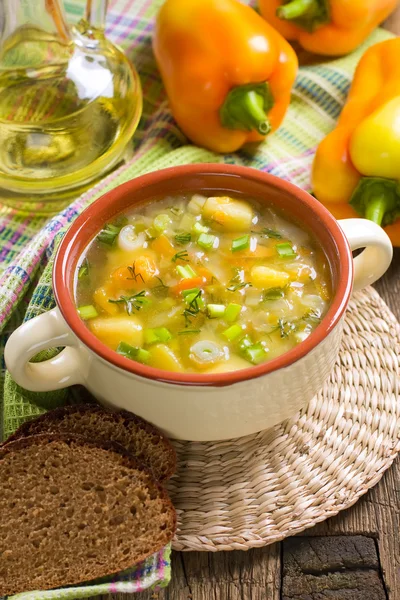 Gemüsesuppe — Stockfoto