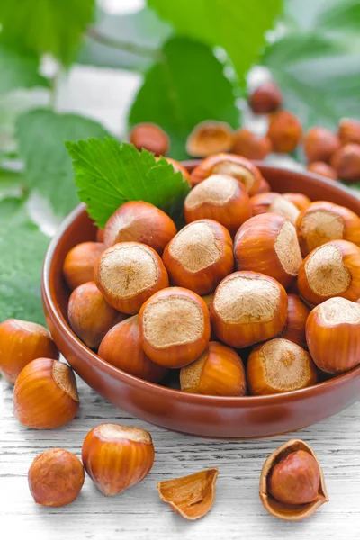 Hazelnuts — Stock fotografie