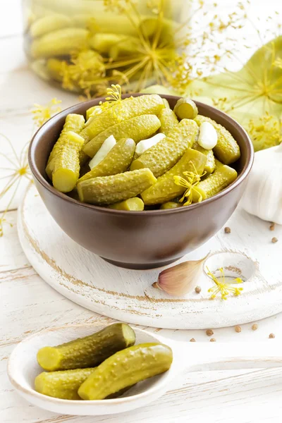 Pickles. — Fotografia de Stock