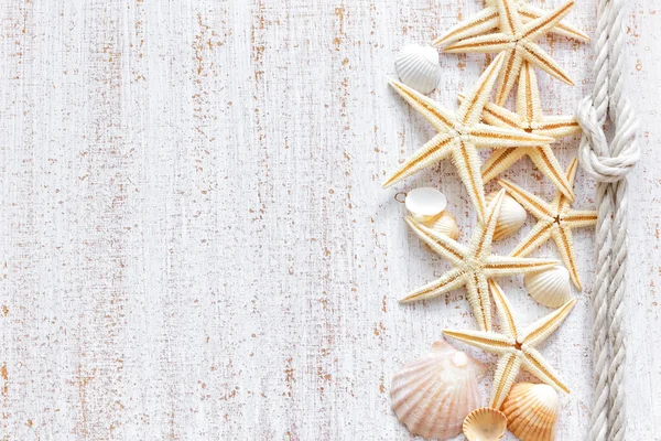 Conchas do mar — Fotografia de Stock