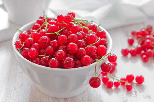 Red currant — Stock Photo, Image