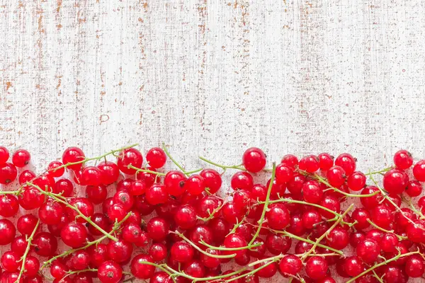 Red currant background — Stock Photo, Image