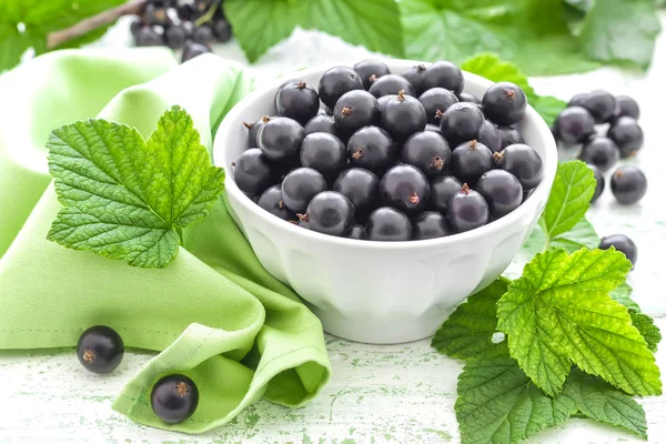 Black currant — Stock Photo, Image