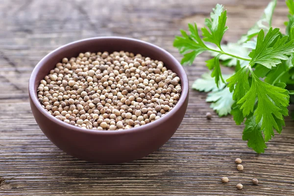 Coriander — Stock Photo, Image