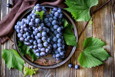 Cabernet üzüm