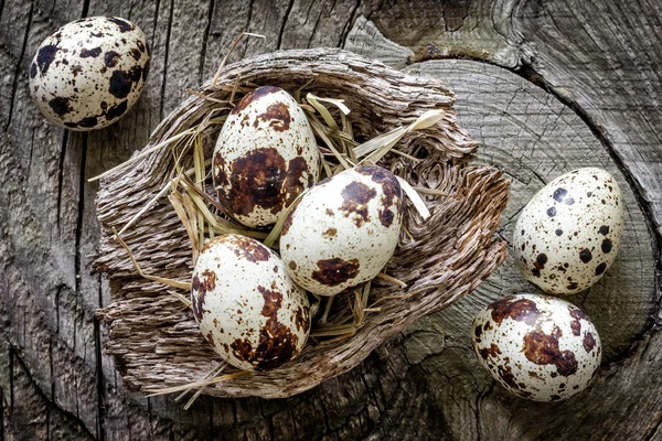 Quail eggs — Stock Photo, Image