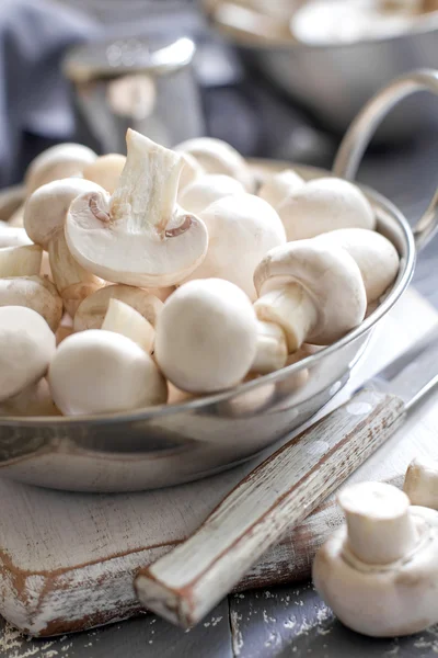 Mushrooms — Stock Photo, Image