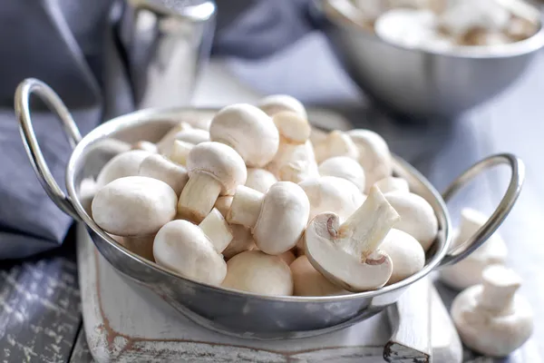 Mushrooms — Stock Photo, Image