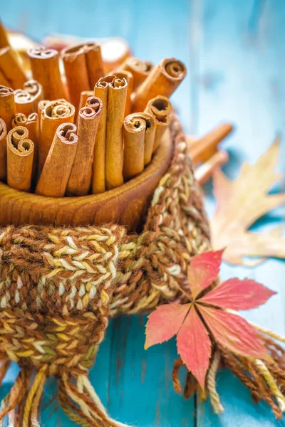 Cinnamon — Stock Photo, Image