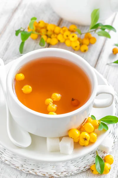 Tè di biancospino — Foto Stock
