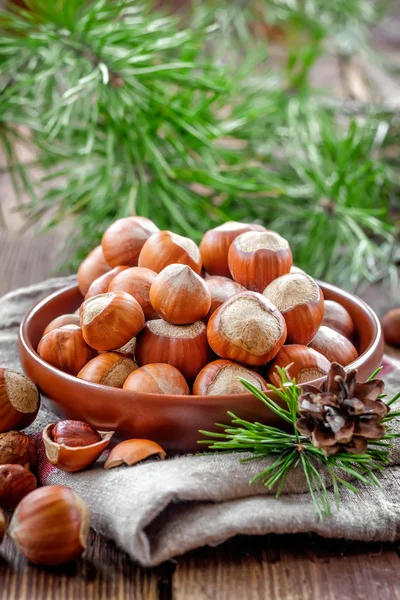 Hazelnuts — Stock Photo, Image