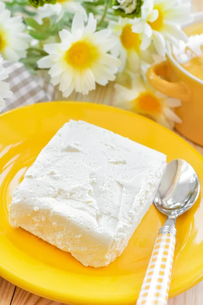 Cottage cheese – stockfoto