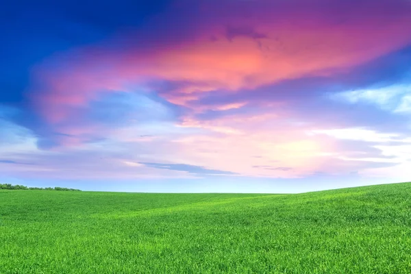 Green field — Stock Photo, Image