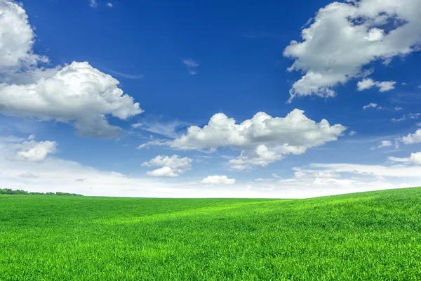 Green field — Stock Photo, Image