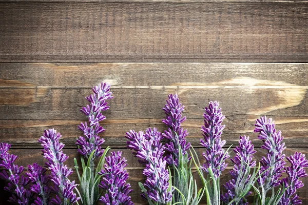 Lavanda — Fotografia de Stock