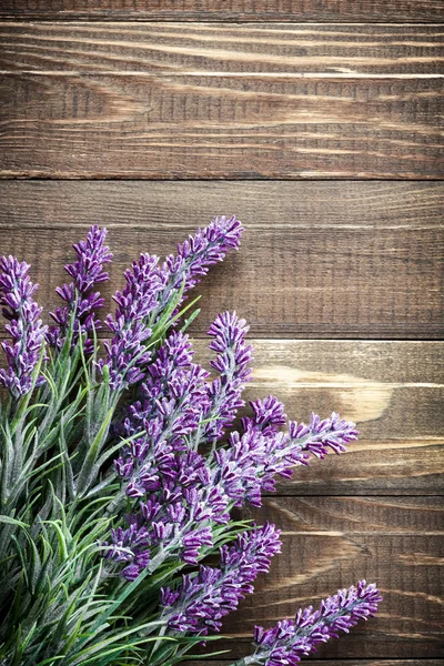 Lavendel — Stockfoto