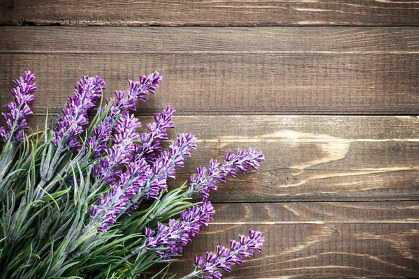 Lavender — Stock Photo, Image