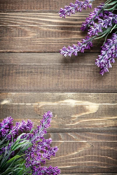 Lavanda — Fotografia de Stock