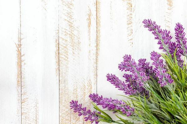 Lavender — Stock Photo, Image