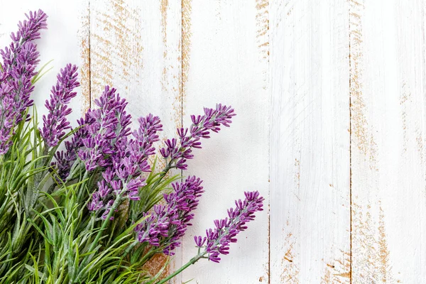 Lavanda — Fotografia de Stock