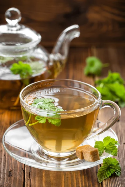 Blackcurrant tea — Stock Photo, Image