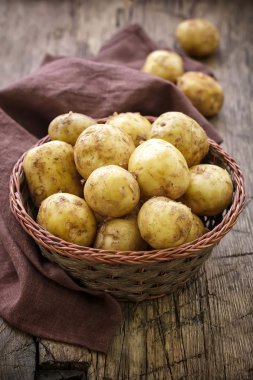 patates