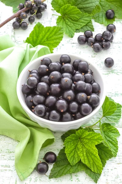 Blackcurrant — Stock Photo, Image