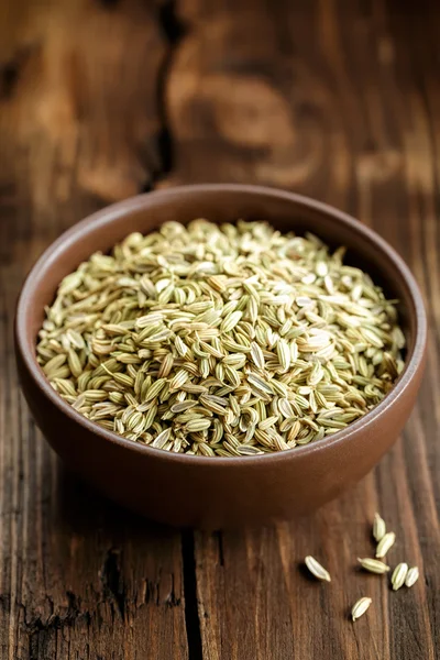 Fennel — Stock Photo, Image