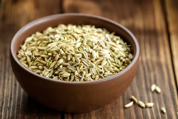 Fennel — Stock Photo, Image