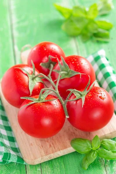 Pomodori — Foto Stock