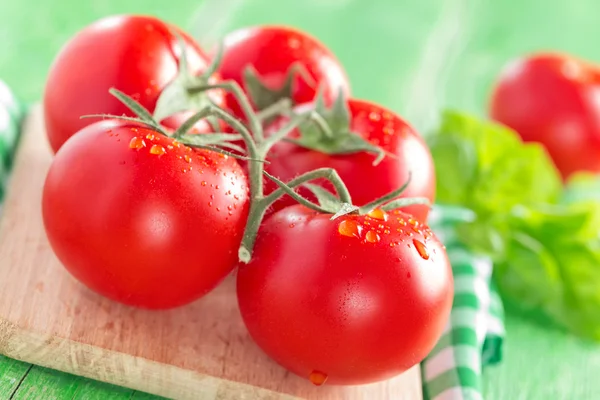 Tomaten — Stockfoto