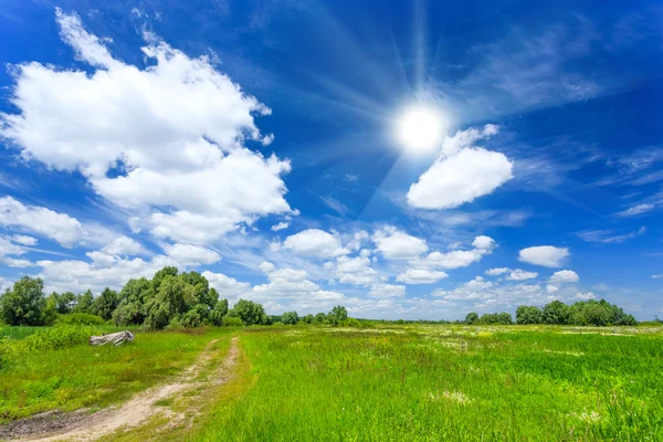 Pradera — Foto de Stock