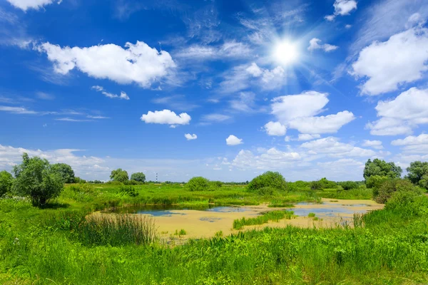 夏季风景 — 图库照片